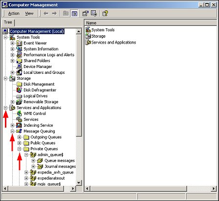 Microsoft Message Queuing Services (MSMQs)