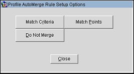 profile_auto_merge_rule_setup_otions_details