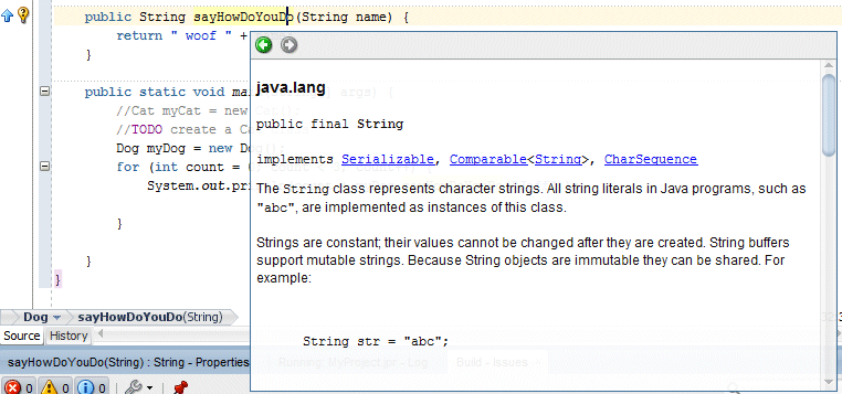 Source editor with superimposed window giving detailed information about the String class