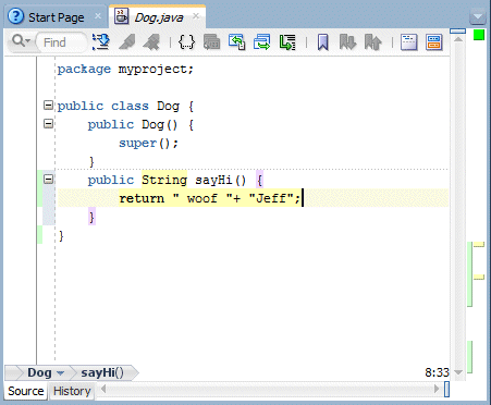 Source editor with Dog Class code. Shows new return statement added: 