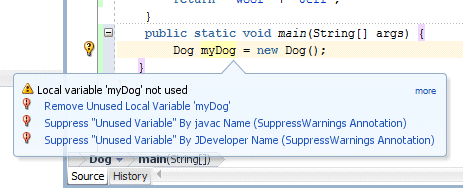 Source editor: cursor placed over myDog variable, and a tooltip displays to tell you that the variable has not been used