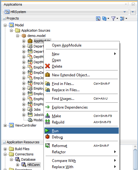 This screenshot shows the right-click menu of the Application Module with Run option selected.