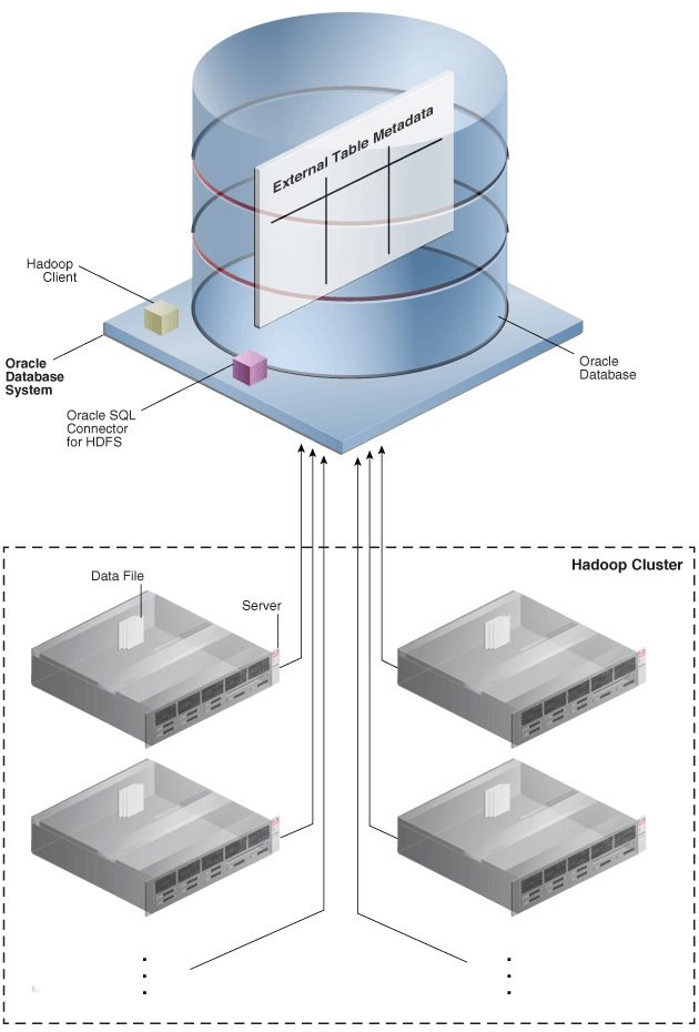 Description of Figure 1-1 follows