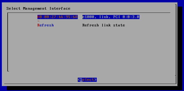 select_mgmt_interface.gifの説明が続きます