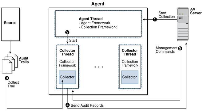 図1-1の説明が続きます