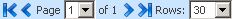 Page and row selector control. Surrounding text describes 119020.gif.