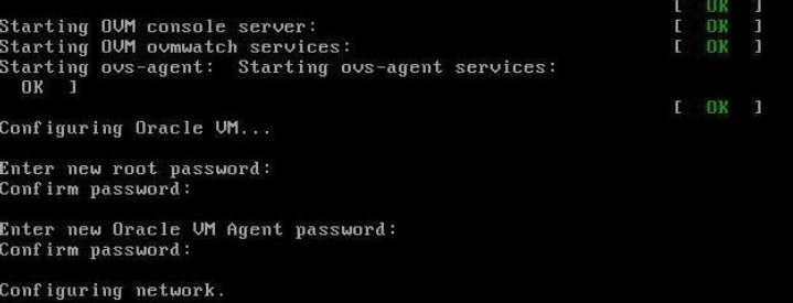 image:Graphic showing the preinstalled Oracle VM New Password Setup                             screen.