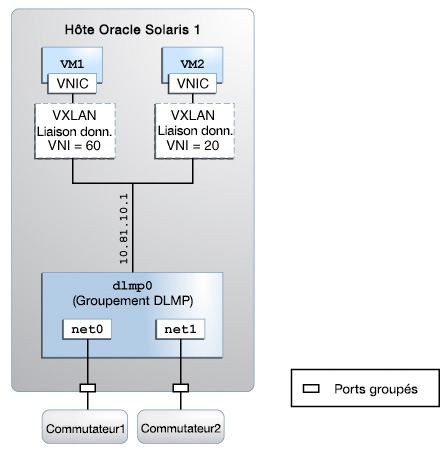 image:Sur cette figure illustre la configuration d'un groupement DLMP VXLANs.