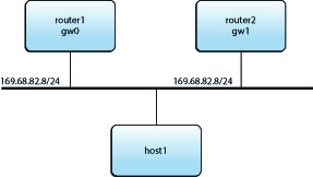 image:Cette figure VRRP décrit la configuration des champs utilisateur flexibles. en général, les adresses
