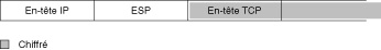 image:Dans le graphique, l'en-tête ESP apparaît entre les en-têtes IP et TCP. L'en-tête TCP est chiffré par l'en-tête ESP.