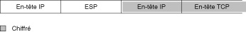 image:Le graphique illustre l'en-tête ESP après l'en-tête IP et avant un en-tête IP et un en-tête TCP. Les deux derniers en-têtes sont protégés par chiffrement.