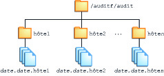 image:Le graphique représente un répertoire root d'audit dont les deux premiers noms de répertoire sont des noms d'hôte.