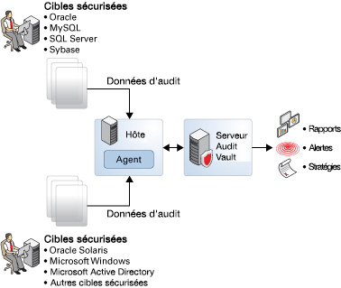 image:L'image illustre le fonctionnement de Oracle Solaris and Audit Vault.