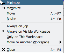 image:Le graphique montre le menu de la barre de titre avec l'élément Always Visible (Toujours visible) sur le menu.