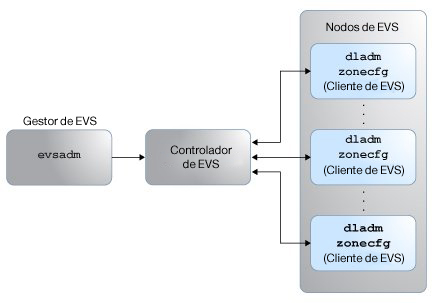 image:La figura muestra los componentes de EVS.