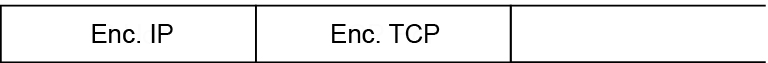 image:En el gráfico, se muestra el encabezado IP seguido del encabezado TCP. El encabezado TCP no está protegido.