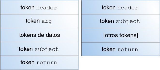 image:El gráfico muestra dos estructuras de registros de auditoría típicas.  El registro de núcleo contiene tokens de datos antes del token “subject“.