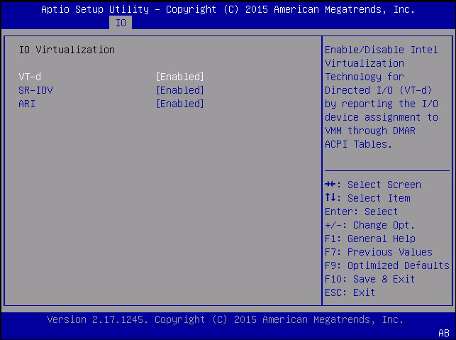 image:Screen capture showing the IO Virtualization screen.