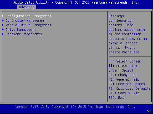 image:Screen capture showing MegaRAID configuration options.