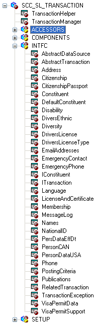 Example of application classes used by CTM (Constituent Transaction Management)