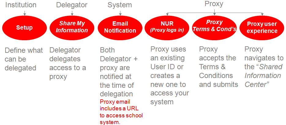 Delegated Access Process
