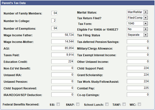 Consolidated Tax Data â€“ Federal â€“ Parent (online)