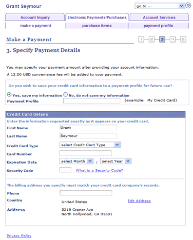 Make a Payment - Specify Payment Details page
