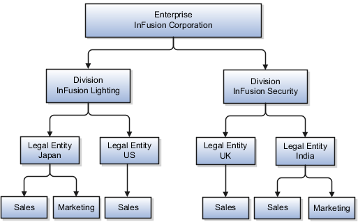 ディビジョン、複数の異なる事業所の法的エンティティ および各法的エンティティの機能で構成される企業の図。