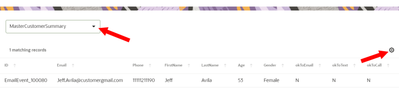 顧客プロファイルの詳細ビューのイメージ