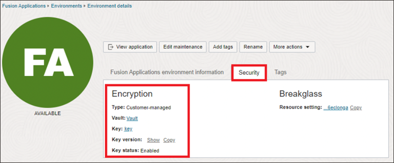 Details of the customer-managed key including vault, key, key version, and key status
