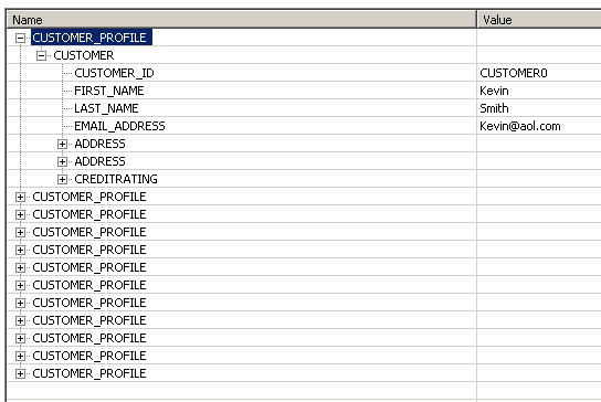 Customer profile data is shown.