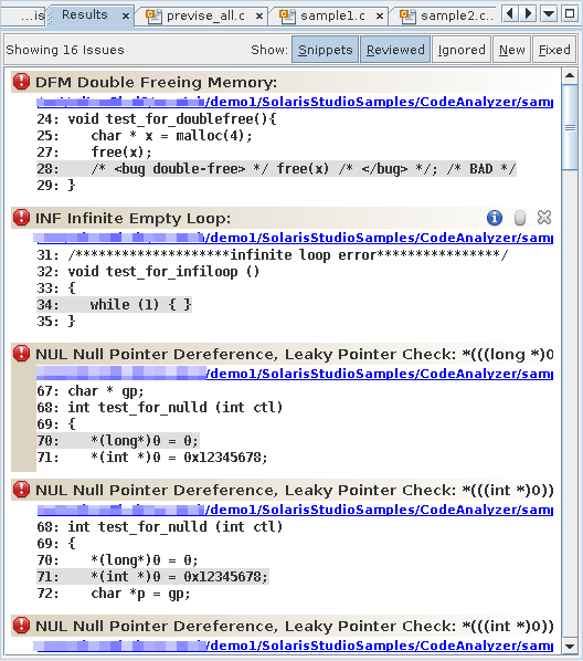 image:显示静态和动态错误的代码分析器 “Results“（结果）标签
