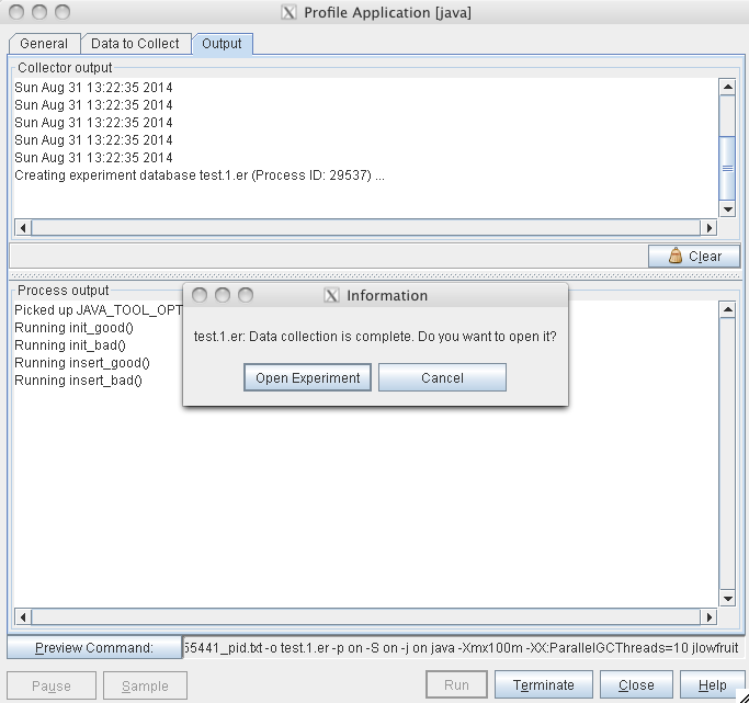 image:“Profile Application“（分析应用程序）对话框的 “Output“（输出）窗口