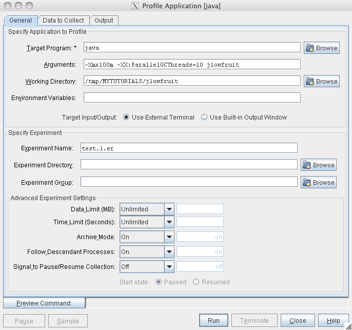 image:“Profile Application“（分析应用程序）对话框的 “General“（常规）标签，包含预设的 “Target Program“（目标程序）和 “Arguments“（参数）