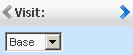 Visit selectors control. Surrounding text describes 117792.gif.