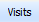 Visits button. Click to view the summary data grouped by visits.