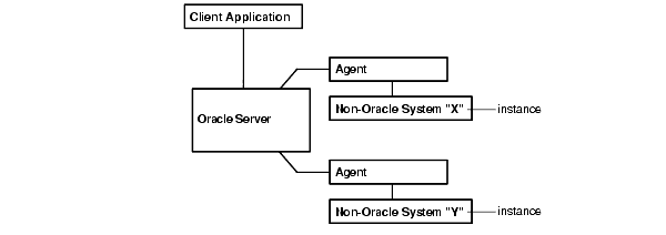 「図2-2 Oracle以外の複数インスタンスへのアクセス」の説明が続きます