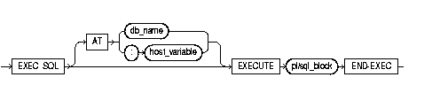 EXECUTE ...END-EXEC