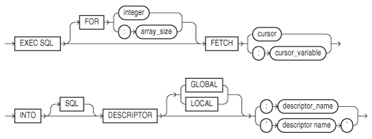 FETCH DESCRIPTOR