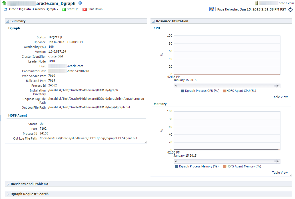 This image shows the Dgraph target homepage with the Summary and Utilization regions.