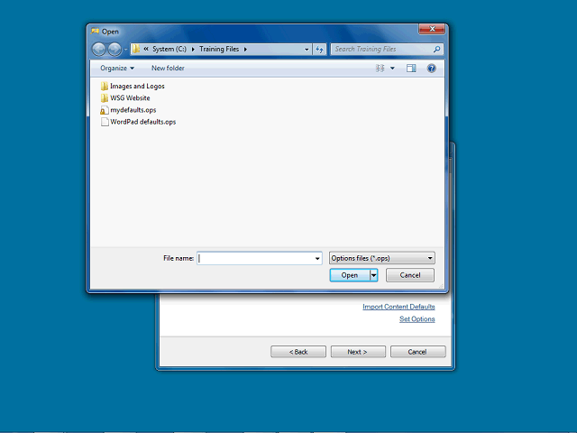 Screen image of this step