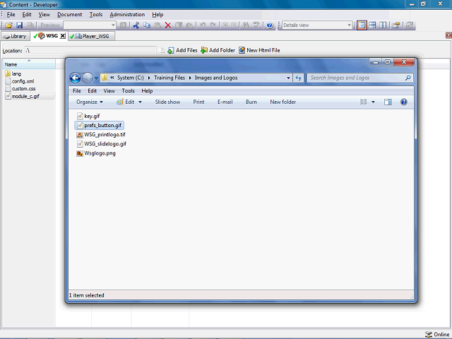 Screen image of this step