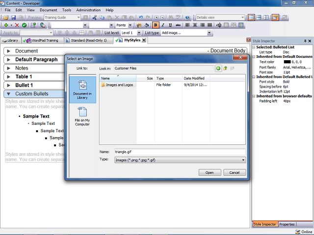 Screen image of this step
