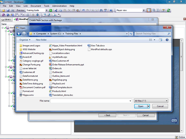 Screen image of this step
