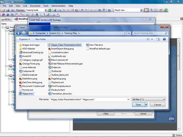 Screen image of this step