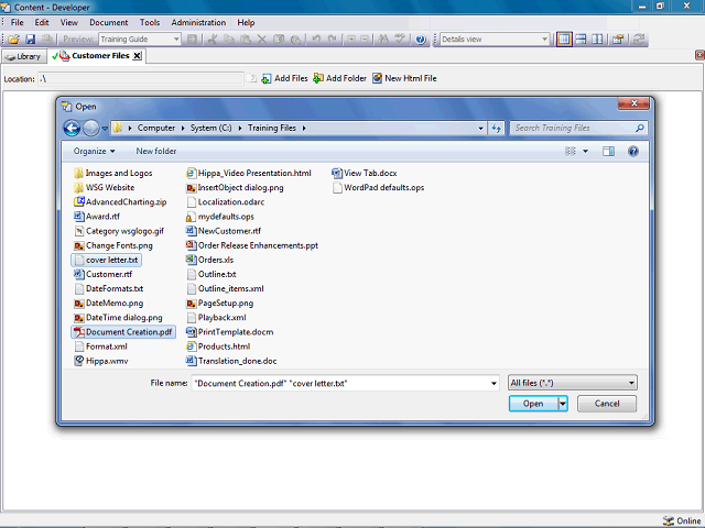 Screen image of this step
