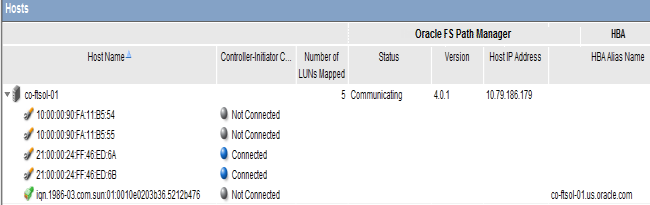 Host Ports Grouped Under Host Name After FSPM Installation