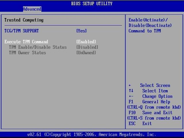 図: 有効になった「Execute TPM Command」の設定を示す図。