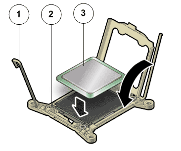 CPU insertion