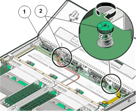 Captive thumb screws to secure disk backplane